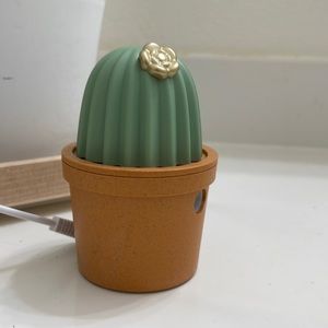 Mini cactus diffuser with usb cord.